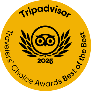 Tripadvisor Travelers' Choice Awards logo for 2025, featuring an owl within a laurel wreath on a yellow background.